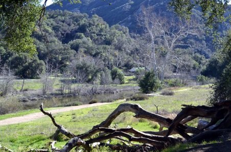 Enlarge photo 12