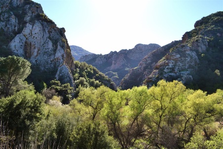 Enlarge photo 15