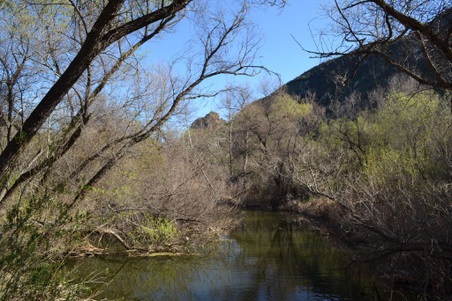 Enlarge photo 17