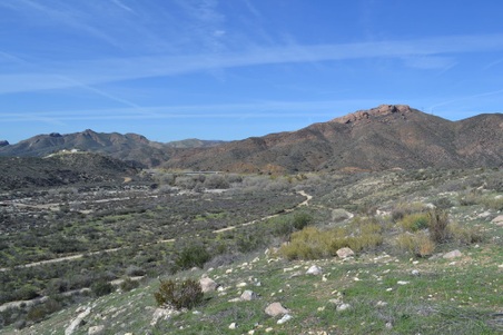 Polsa Rosa Ranch