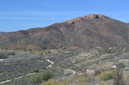 Enlarge photo 2