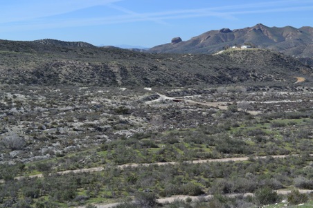 Enlarge photo 3