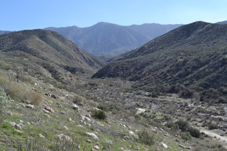 Enlarge photo 7