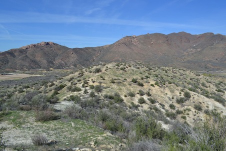 Enlarge photo 11