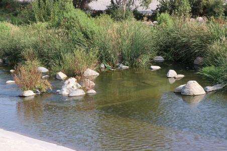 Enlarge photo 10