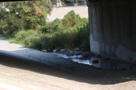 Enlarge photo 12