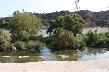 Enlarge photo 14