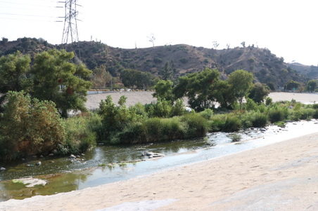 Enlarge photo 15