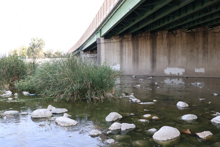 Enlarge photo 20