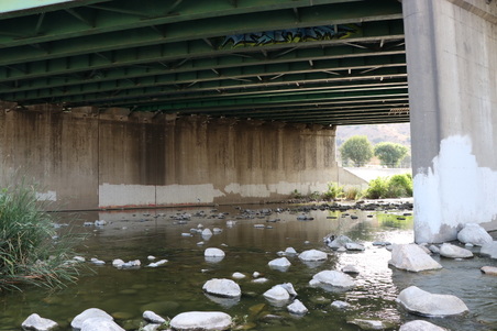 Enlarge photo 21