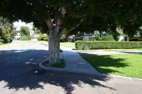 Enlarge photo 43