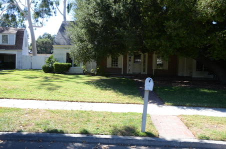 Enlarge photo 51