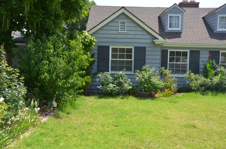Enlarge photo 6