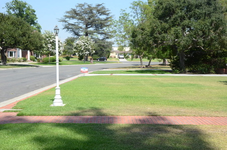 Enlarge photo 7