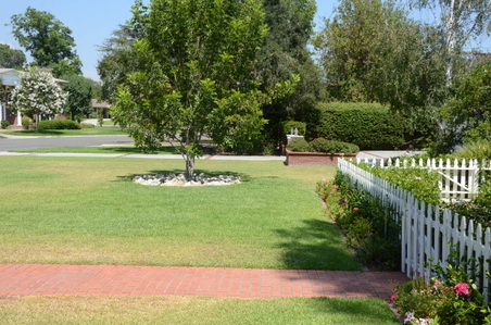 Enlarge photo 10
