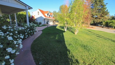 Enlarge photo 20