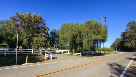 Enlarge photo 24