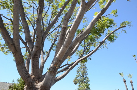 Enlarge photo 10