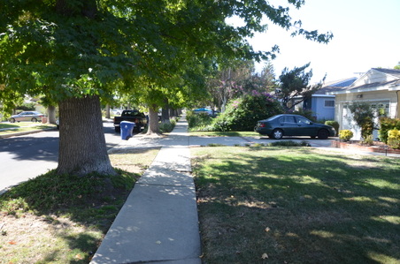 Enlarge photo 7