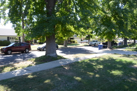 Enlarge photo 10