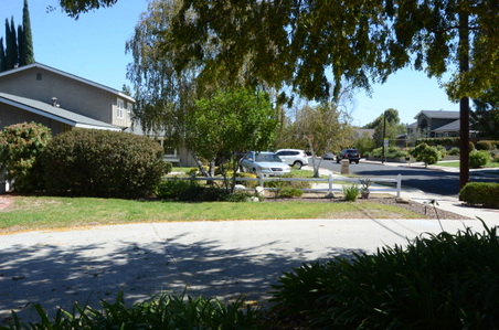 Enlarge photo 17