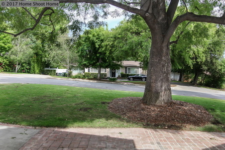 Enlarge photo 2
