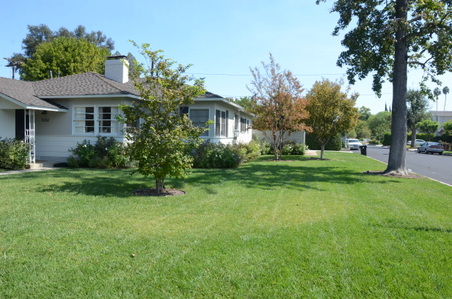 Enlarge photo 11
