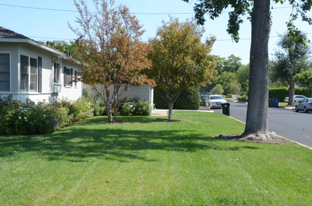 Enlarge photo 12