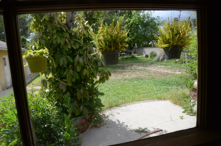 Enlarge photo 14