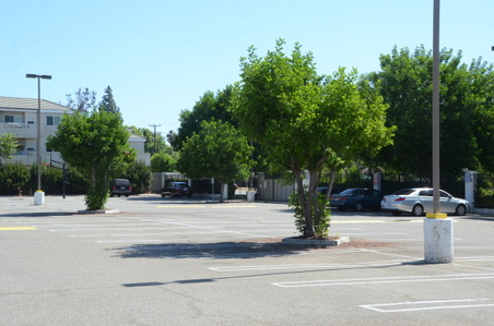 Enlarge photo 11