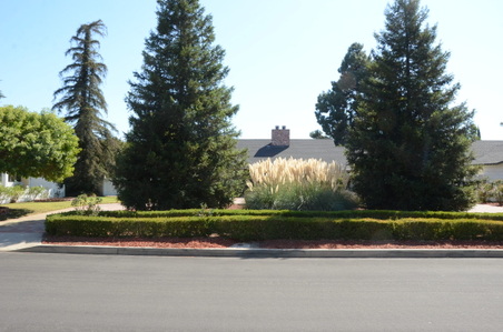 Enlarge photo 1