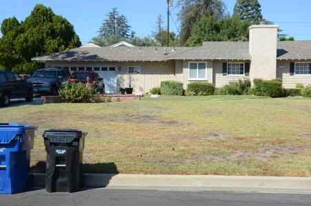 Enlarge photo 5