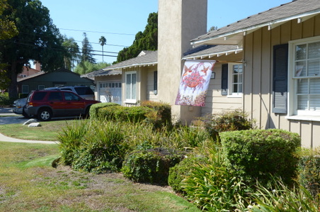 Enlarge photo 26