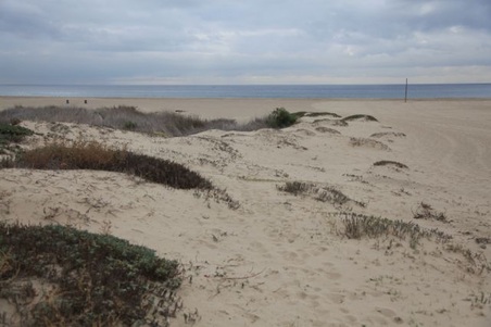 Enlarge photo 28