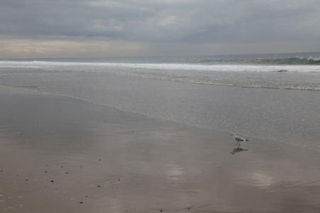 Enlarge photo 36