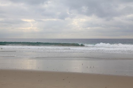 Enlarge photo 41
