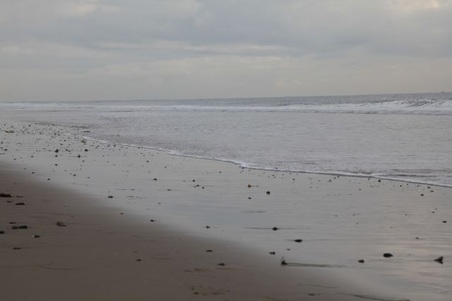 Enlarge photo 49