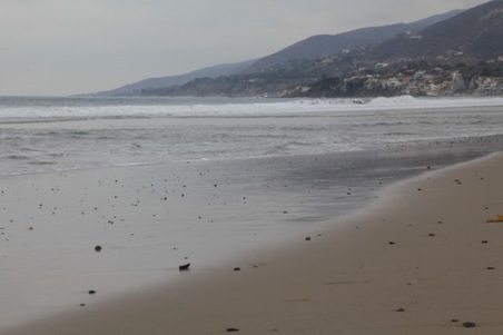 Enlarge photo 51