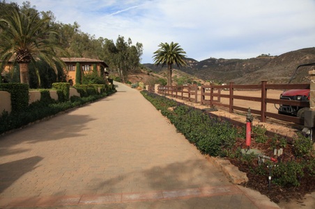 Enlarge photo 59