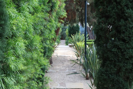 Enlarge photo 78