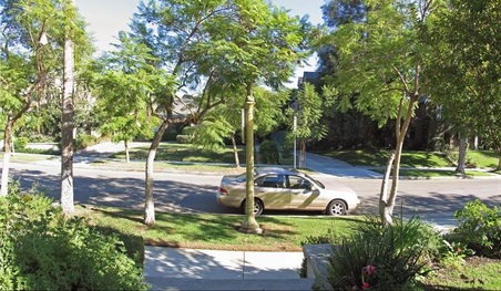 Enlarge photo 4