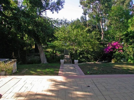 Enlarge photo 45