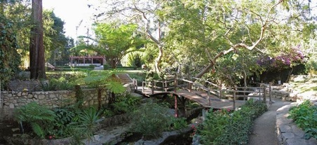 Enlarge photo 49