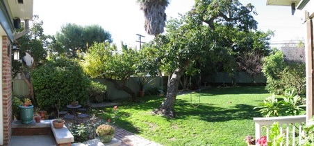 Enlarge photo 55