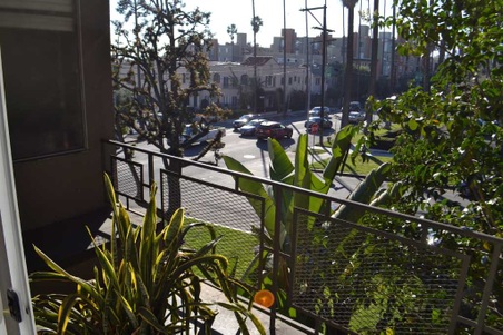 Enlarge photo 45