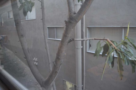Enlarge photo 33