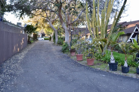 Enlarge photo 73