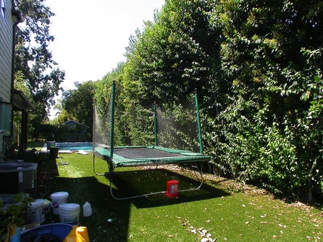 Enlarge photo 61