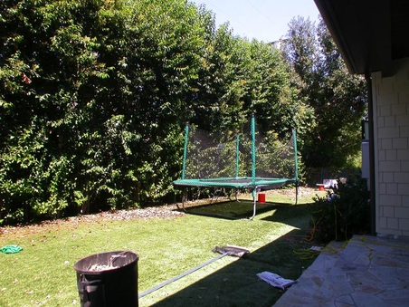 Enlarge photo 62