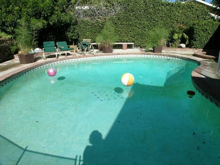 Enlarge photo 57